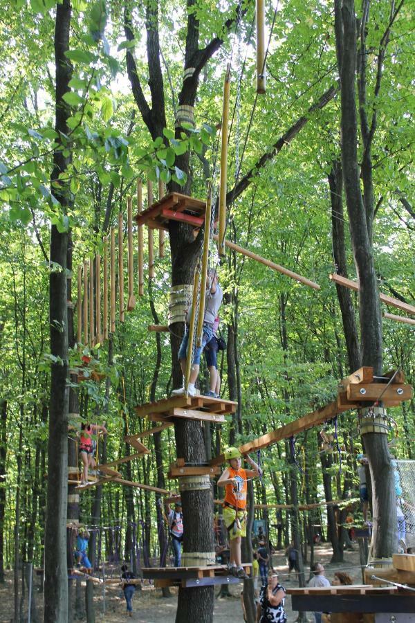 Complex Hamak Resort *