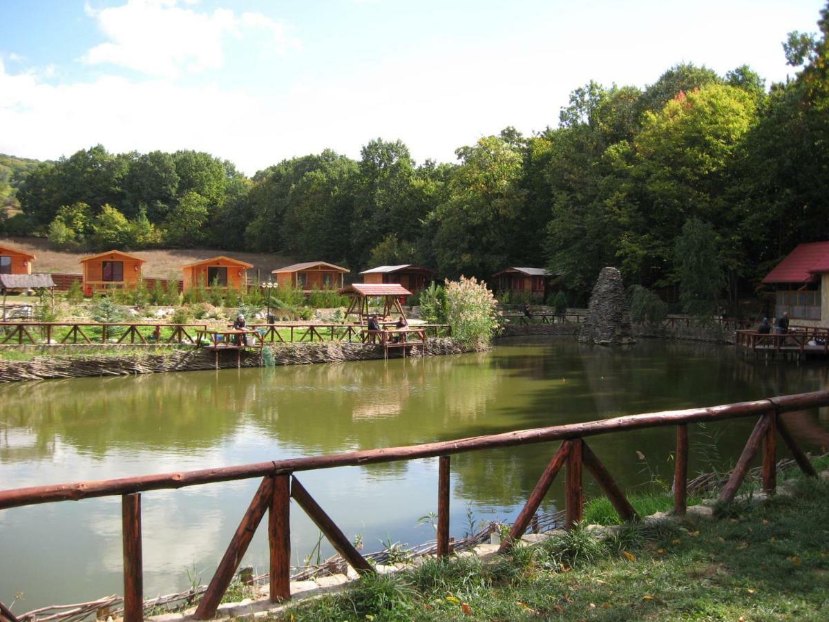 Complex Hamak Iasi