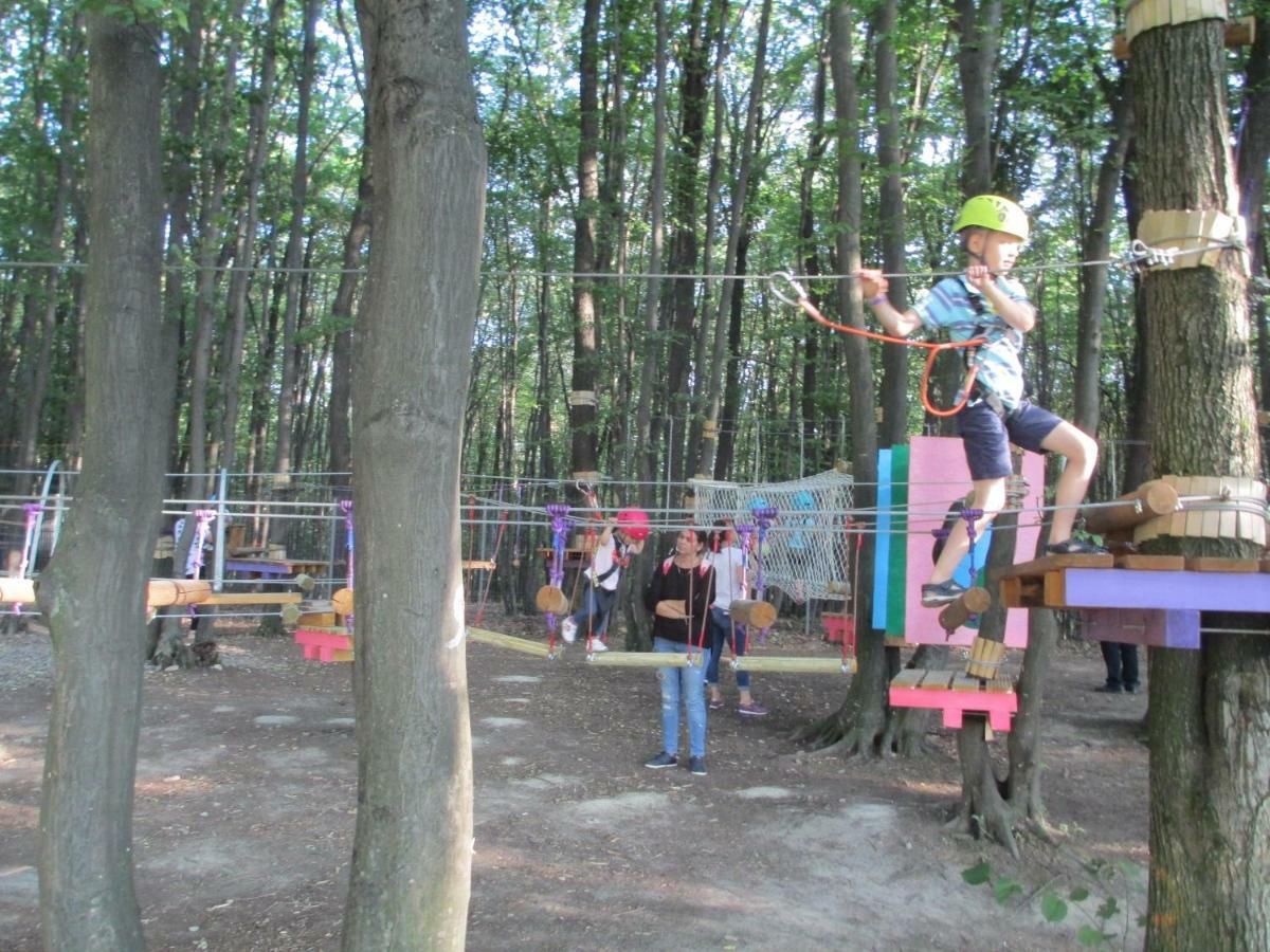 Complex Hamak Resort *